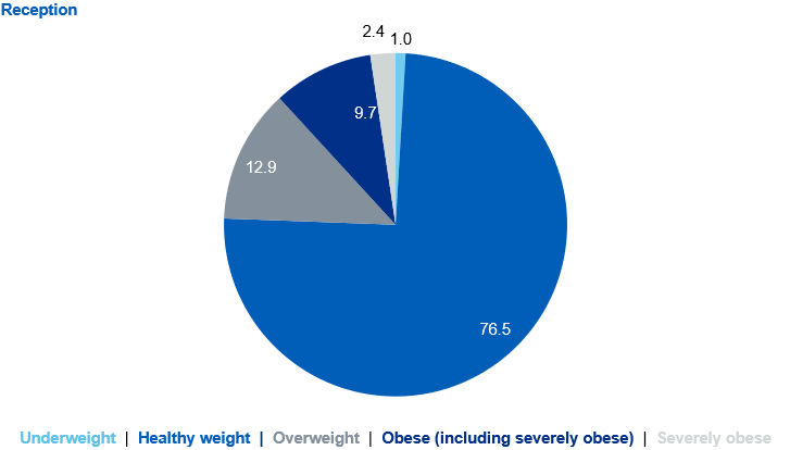 Pie charts showing prevalence of the BMI classifications for reception children