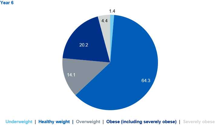 Pie charts showing prevalence of the BMI classifications for year 6 children