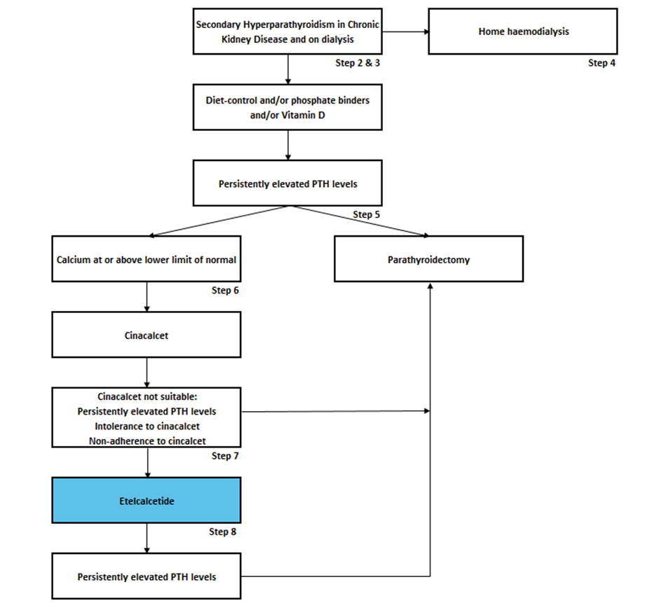 Flow diagram 2