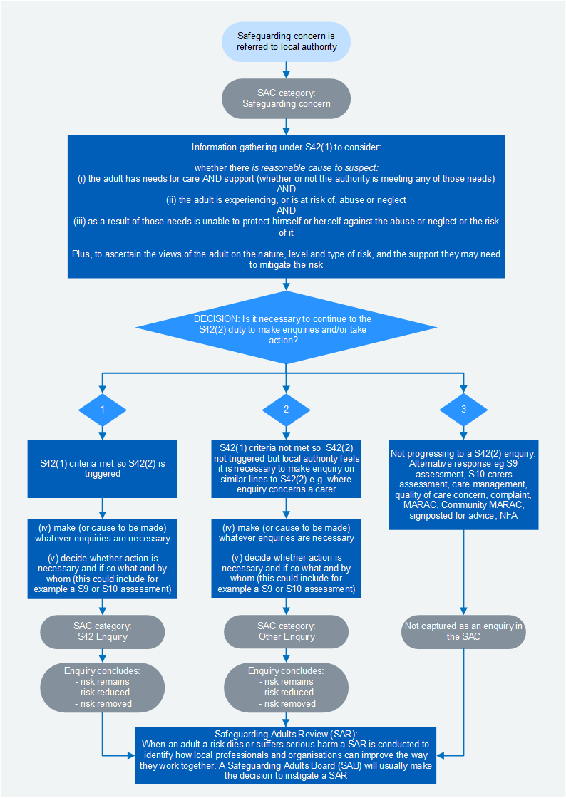 The Safeguarding Adults Process