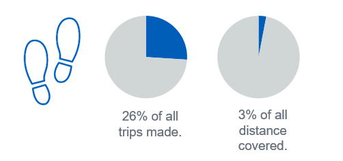 Pie charts showing walking activity as proportion of all