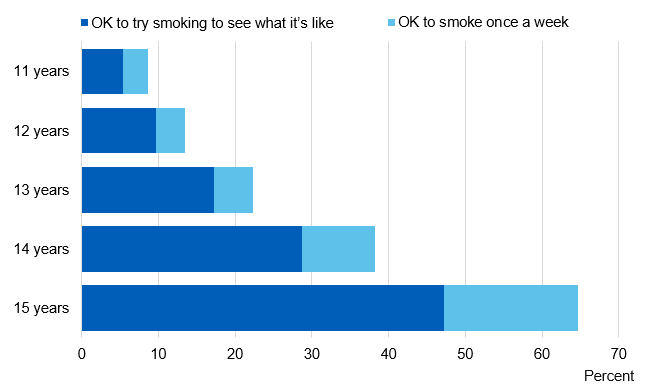 Chart showing pupils attitudes to smoking by age