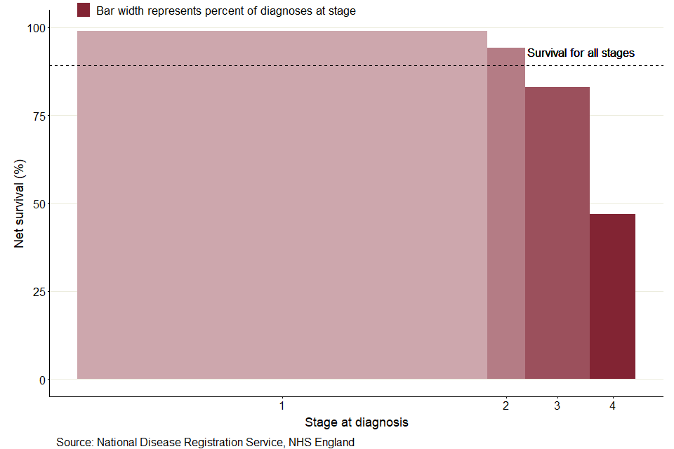 A bar chart of 1-year survival for uterus cancer split by stage at diagnosis, with a dotted line to show value for stages combined. The width of the bars represent the percentage of patients diagnoses in each stage. Stage 1 has the largest proportion of patients and highest 1-year survival, whereas stage 4 has the lowest 1-year survival.