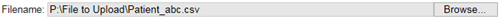 file name field
