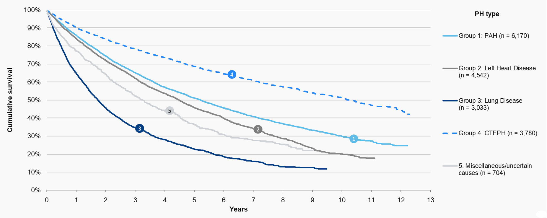 Chart S 1: Survival curves from diagnosis by PH type (n = 18,229)