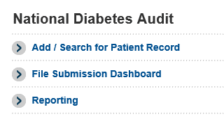National diabetes audit screen