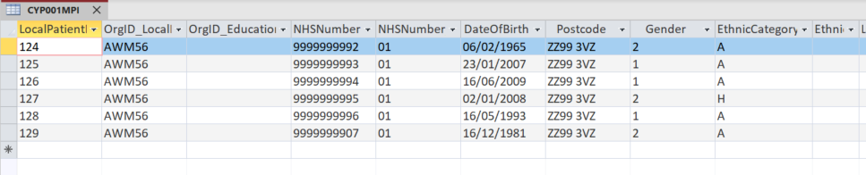 Screenshot of intermediate database showing the MPI table populated with the mandatory and required fields including the postcode shown with default codes (for illustrative purposes only).