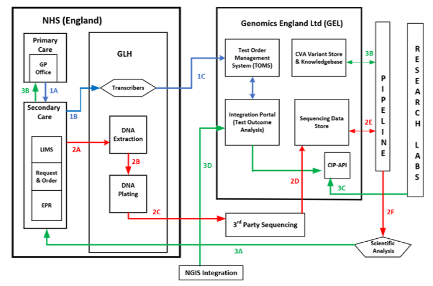 Genomics Whole Genome Sequence (WGS) process