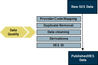 Graphic showing overview of the HES cleansing process