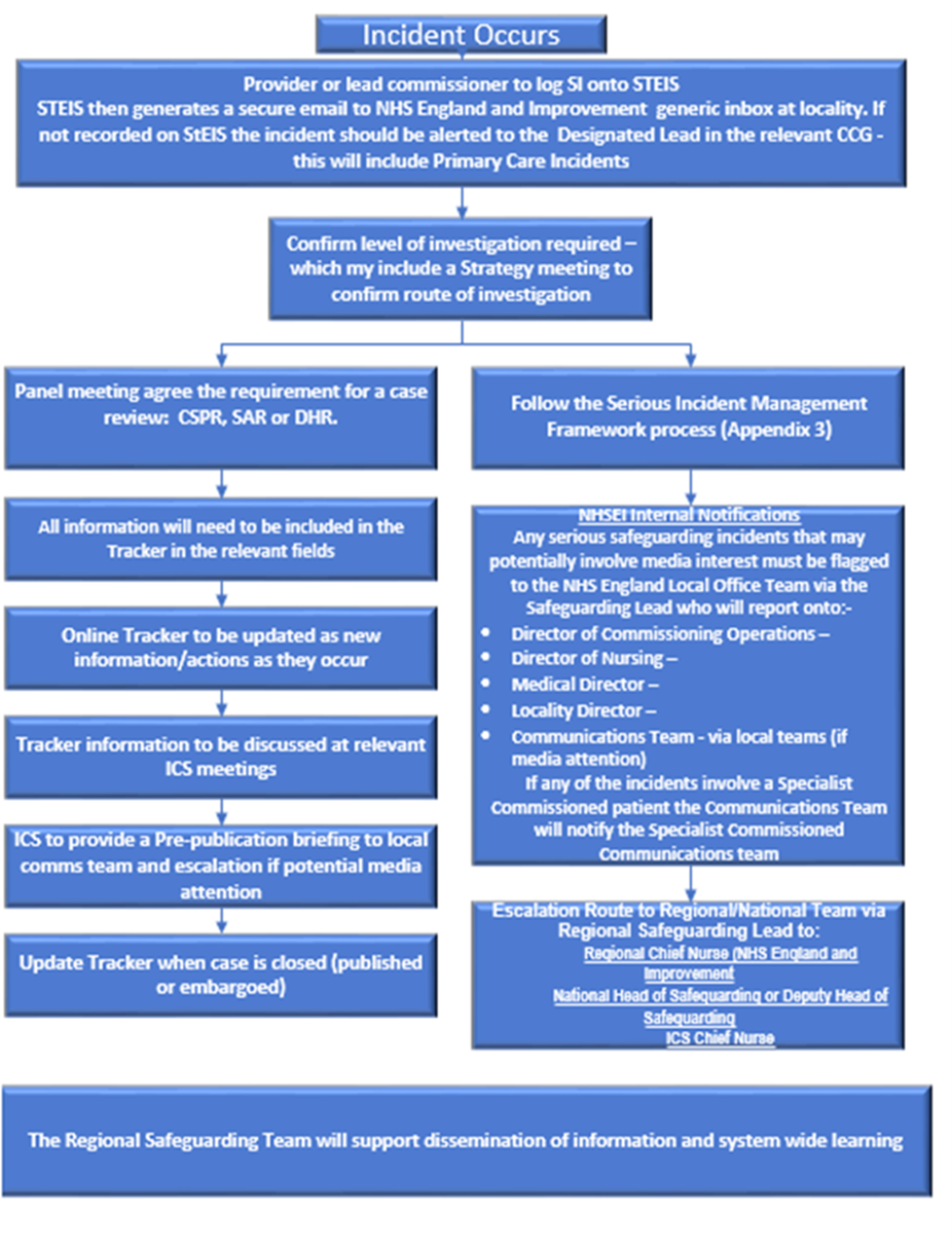 The safeguarding review process flow diagram