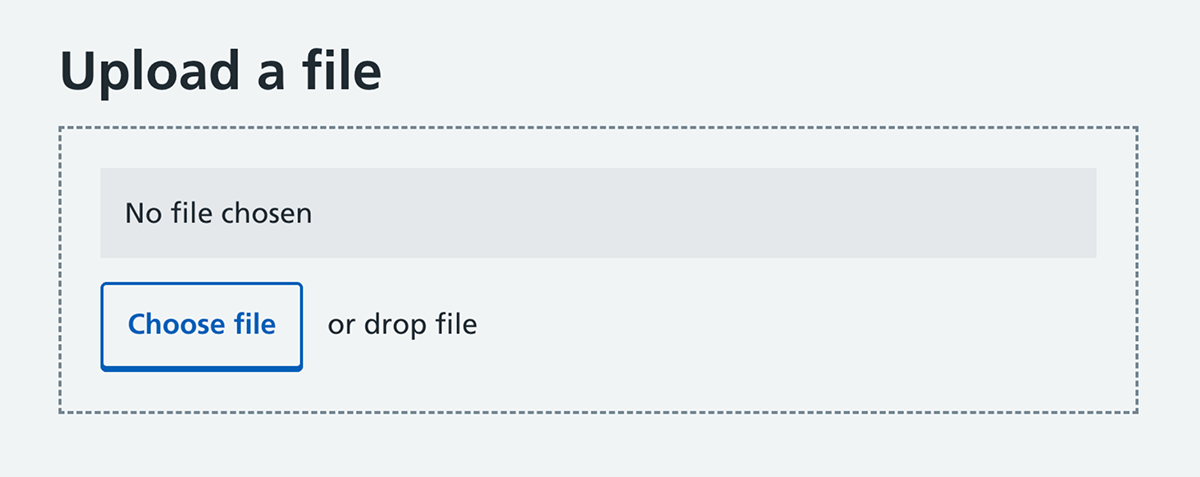 Screenshot showing file upload component with 'Upload a file' and buttons for 'No file chosen' and 'Choose a file' and 'Or drop file'.