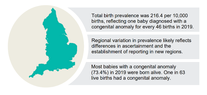 Screenshot of congenital anomaly prevalence