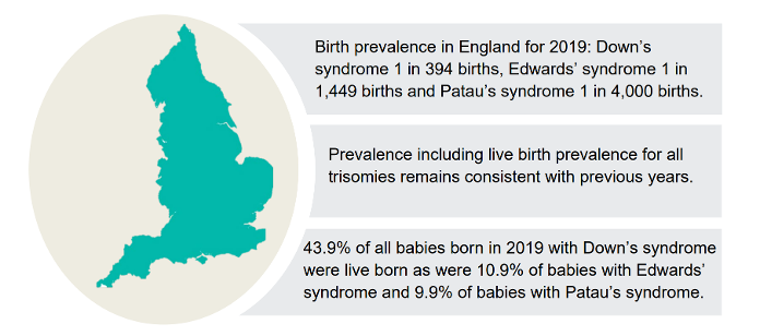 Example of birth prevalence in England for 2019