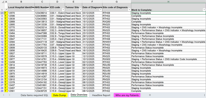 Screenshot of Data Overview tab from Other Systems COSD excel spreadsheet