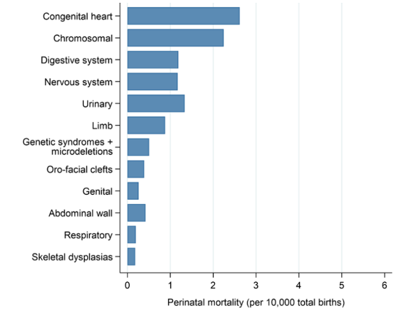 Screenshot of graph showing perinatal mortality (still births and deaths under 7 datys of age) by congenital anomaly subgroup in England 2019