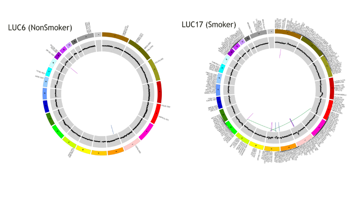 Example of graph showing genomic landscape of Non-Small Cell Lung Cancer (NSCLC) in smokers and never-smokers