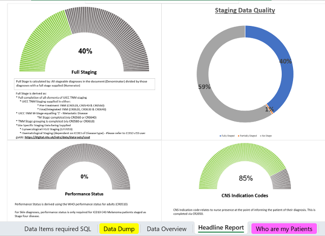 Screenshot of Headline Report tab from Other Systems COSD excel spreadsheet
