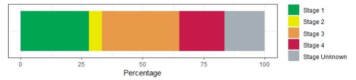 Screenshot of stage at diagnosis of ovary, fallopian tube and primary peritoneal carcinomas  in England, 2015 to 2017 (Source: CAS AV1906)