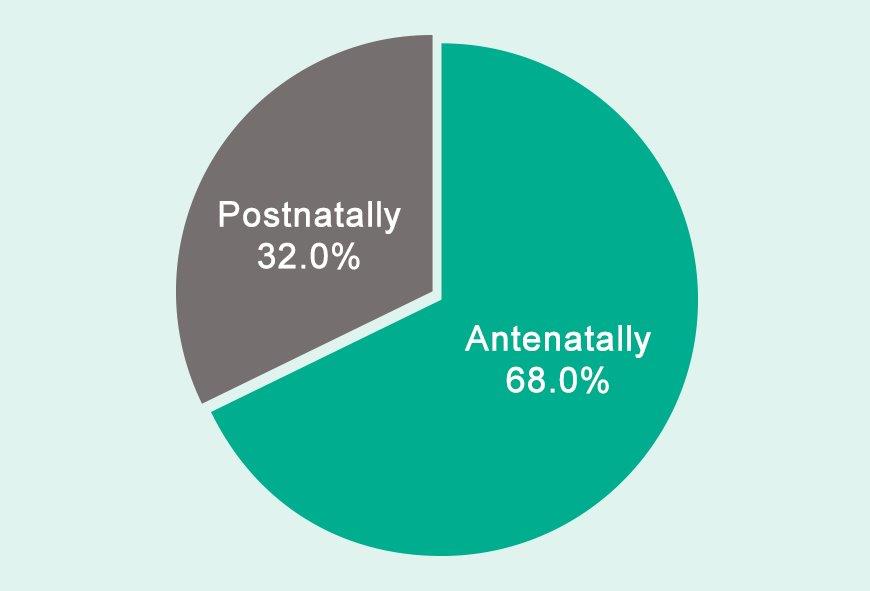 A pie chart containing data. The data is provided beneath the image
