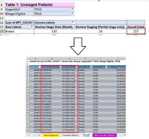Screenshot of pivot table showing patient level details of patients missing data from SCR COSD excel spreadsheet