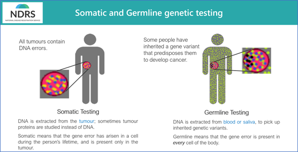 Summary of how molecular testing can be either somatic or germline.