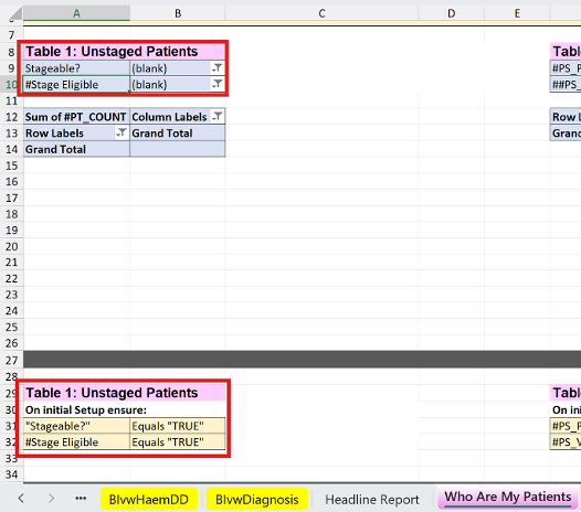 Screenshot of pivot table from Who Are My Patients tab from SCR COSD excel spreadsheet