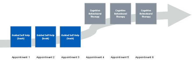 An example of an IAPT stepped pathway flow diagram