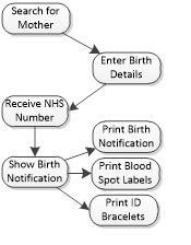 Process of entering a birth notification flow chart