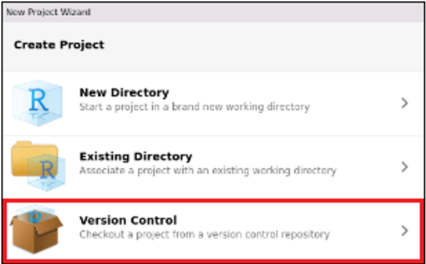 Image of version control option