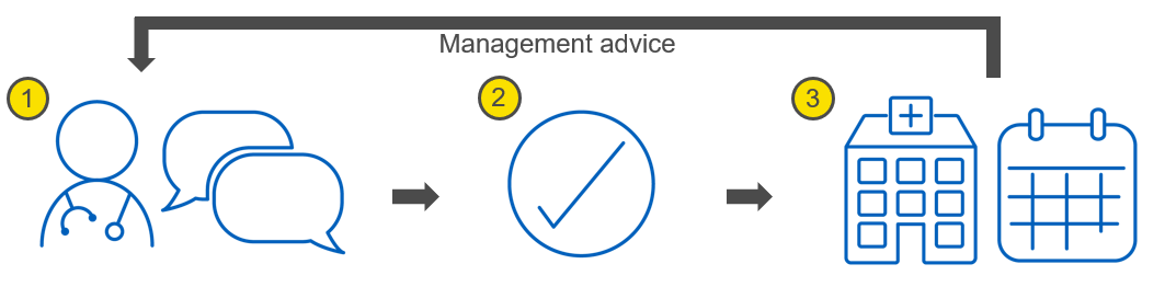 Image of the advice request flow when authorisation is given