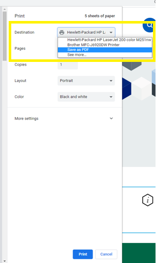 Image displaying the Printing options available in Google Chrome