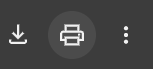 Print icon