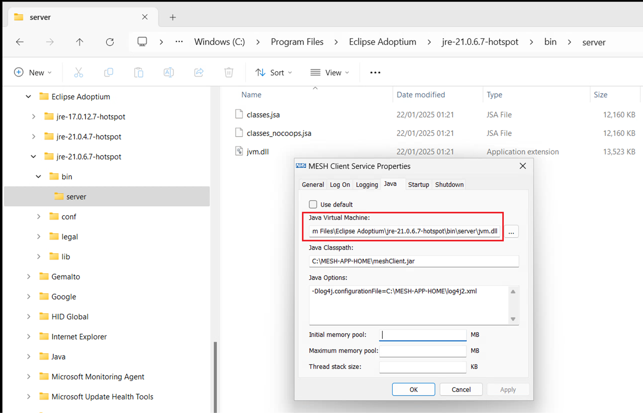 Screenshot of MESH client service showing how to pick up the new Java version by amending the path.