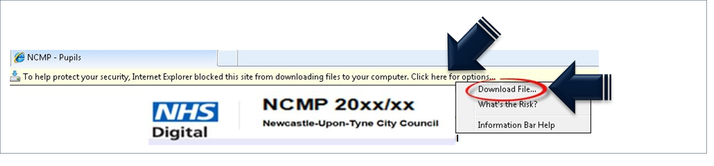 NCMP portal screen with download files highlighted