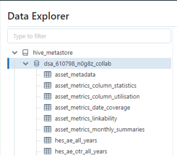 Data explorer