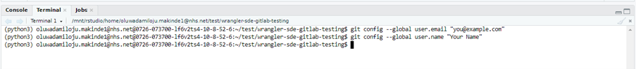 Git Commit - Terminal 2