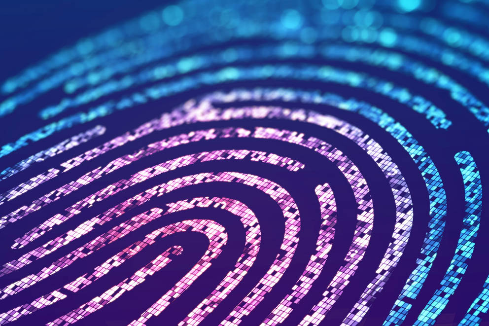Stylised visual of a biometric fingerprint